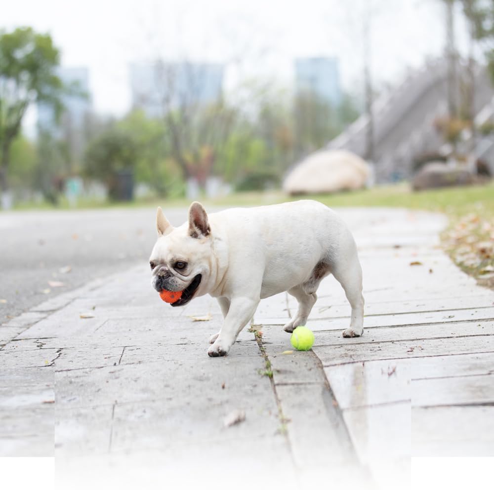 WIGGLYTAIL Dog Balls 12 Pcak