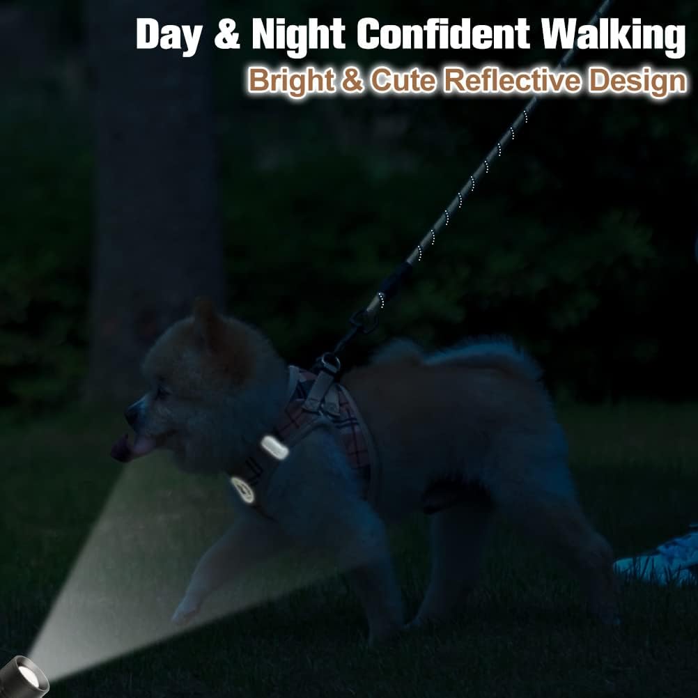 BEAUTYZOO Small Dog Harness and Leash Set,Step in No Choke No Pull