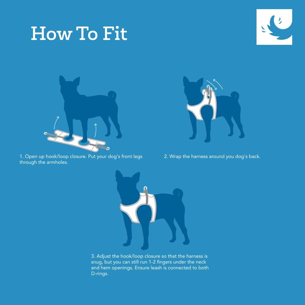 RC Pet Products Cirque Soft Walking Step-in Dog Harness, Small