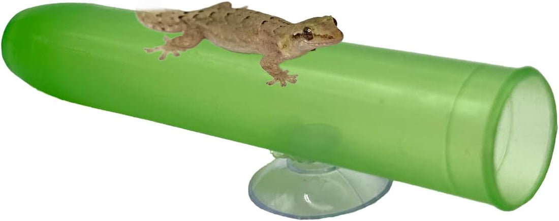 CTWPets Gecko Egg Laying Tube, Arboreal Terrarium Accessory, 1 Pack