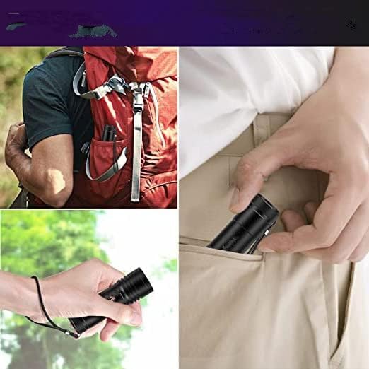 Black Light Flashlight Mini 9 LED 395nm UV Flashlight for Pet Urine