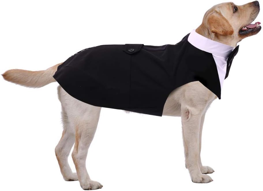 PUMYPOREITY Small Dog Bowtie Tuxedo Suit