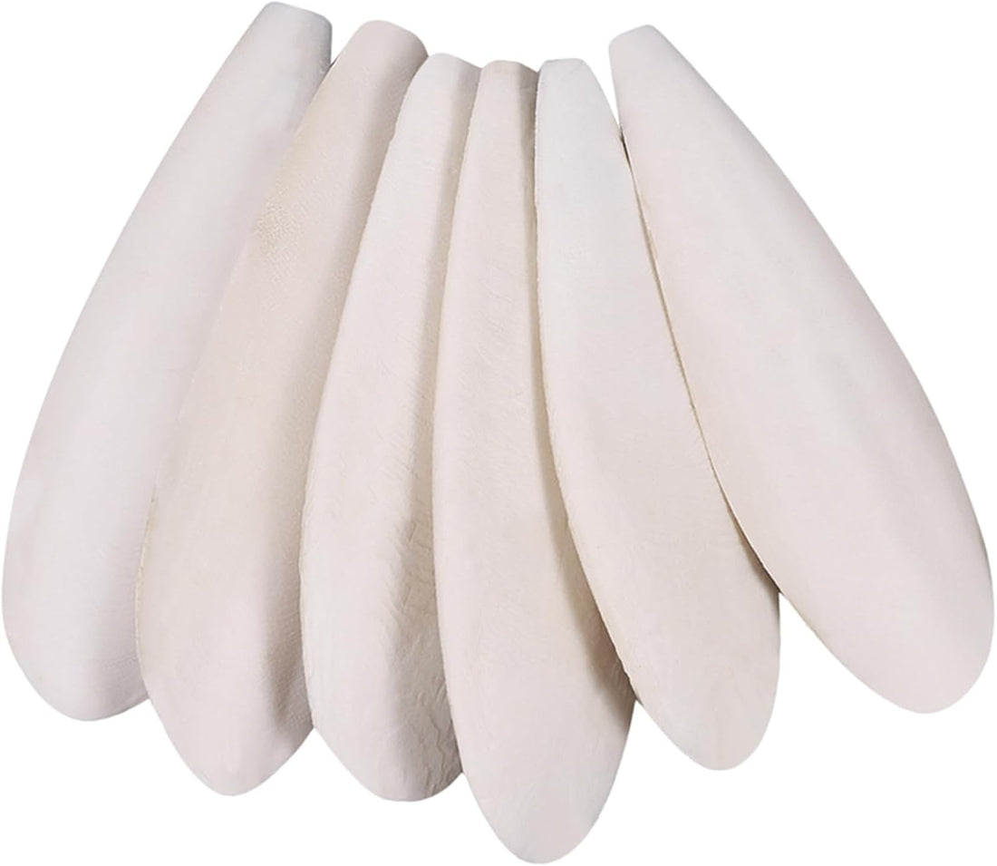 Cuttlebone for Birds 6 Pcs Large Natural Cuttlefish Bone for Parakeets