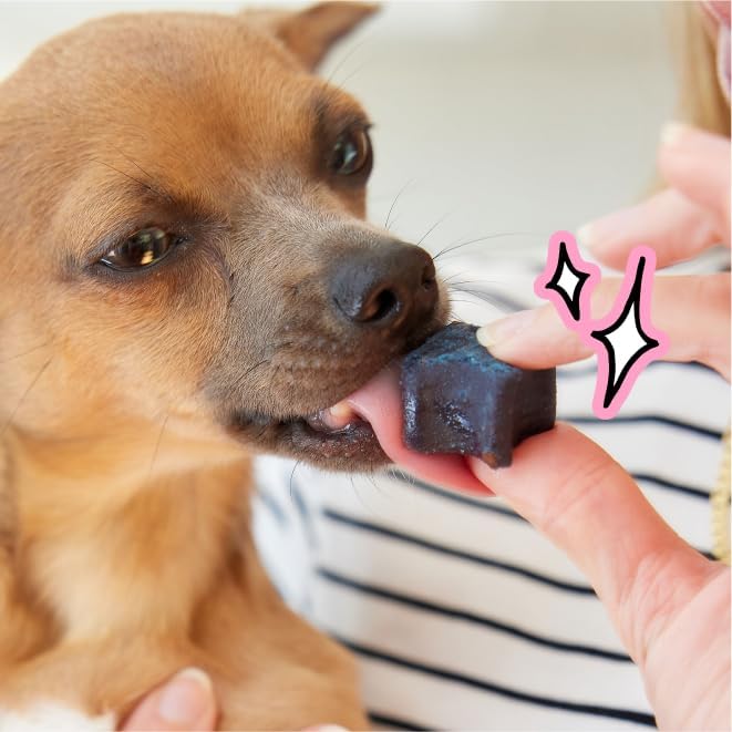 Spot & Tango PupGum Dog Dental Chews for Fresh Breath & Clean Teeth