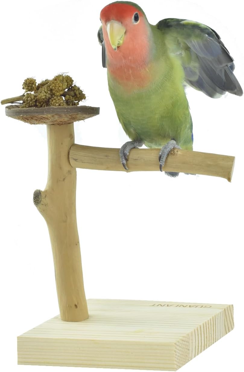 Wood Bird Stands Feeder Toys, Tabletop Portable Training Parrots Perch