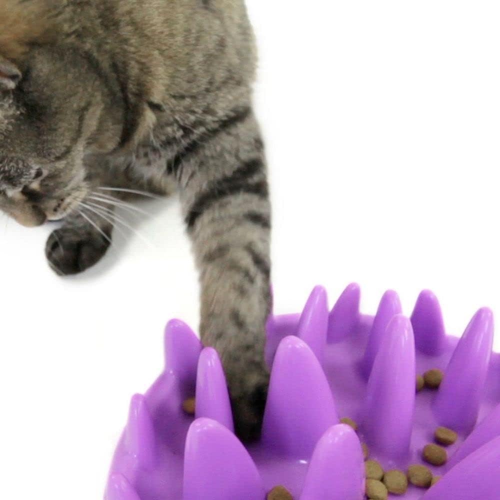 Company of Animals Catch Interactive Cat Slow Feeder