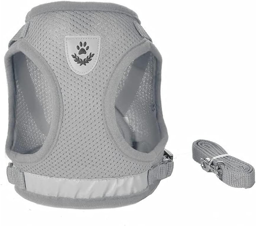FEimaX Dog Harness and Leash Set for Walking