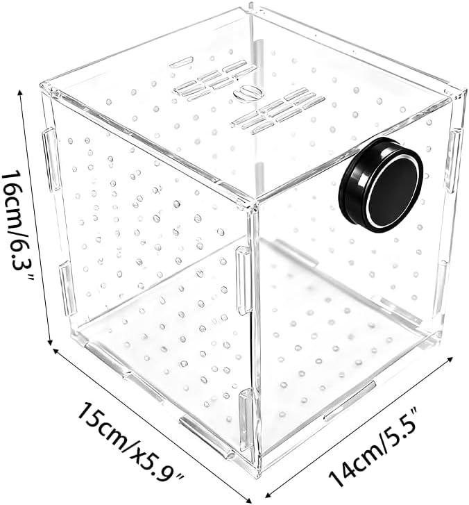 Fish Breeding Box, Acrylic Fish Isolation Container Aquariums