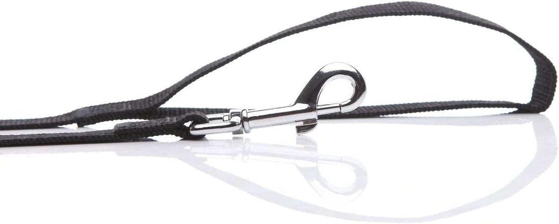 Nylon Dog Leash 8 Feet Long, Walking Training Dog Leashes for Medium