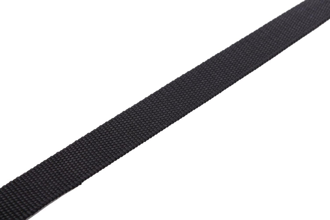 Nylon Dog Leash 8 Feet Long, Walking Training Dog Leashes for Medium