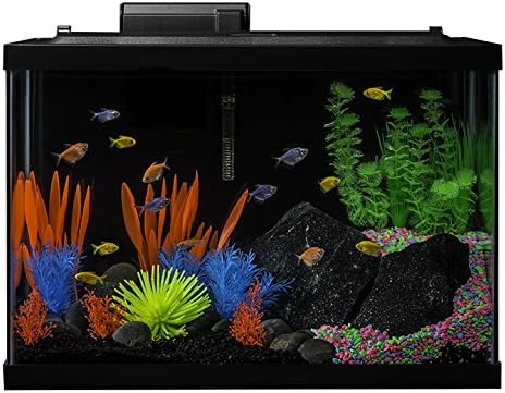 GloFish 20 Gallon Complete Fish Tank Kit