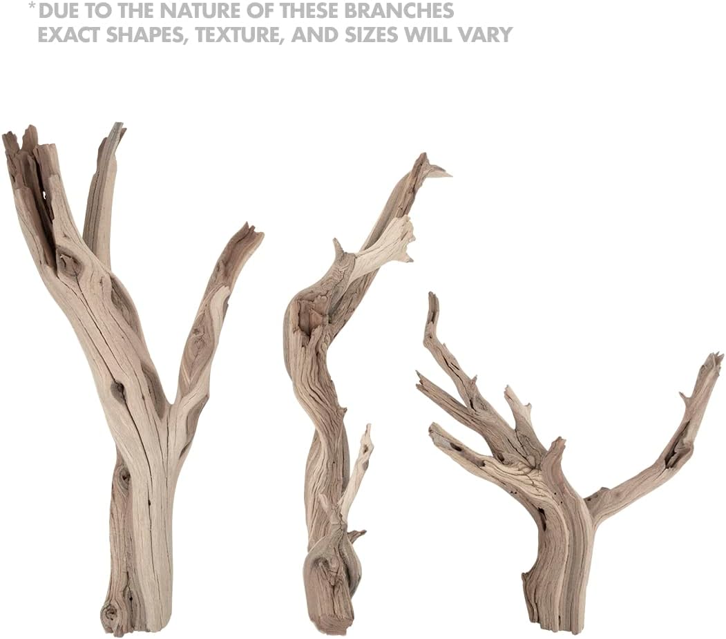 Koyal Wholesale 12” Driftwood Terrarium Decor