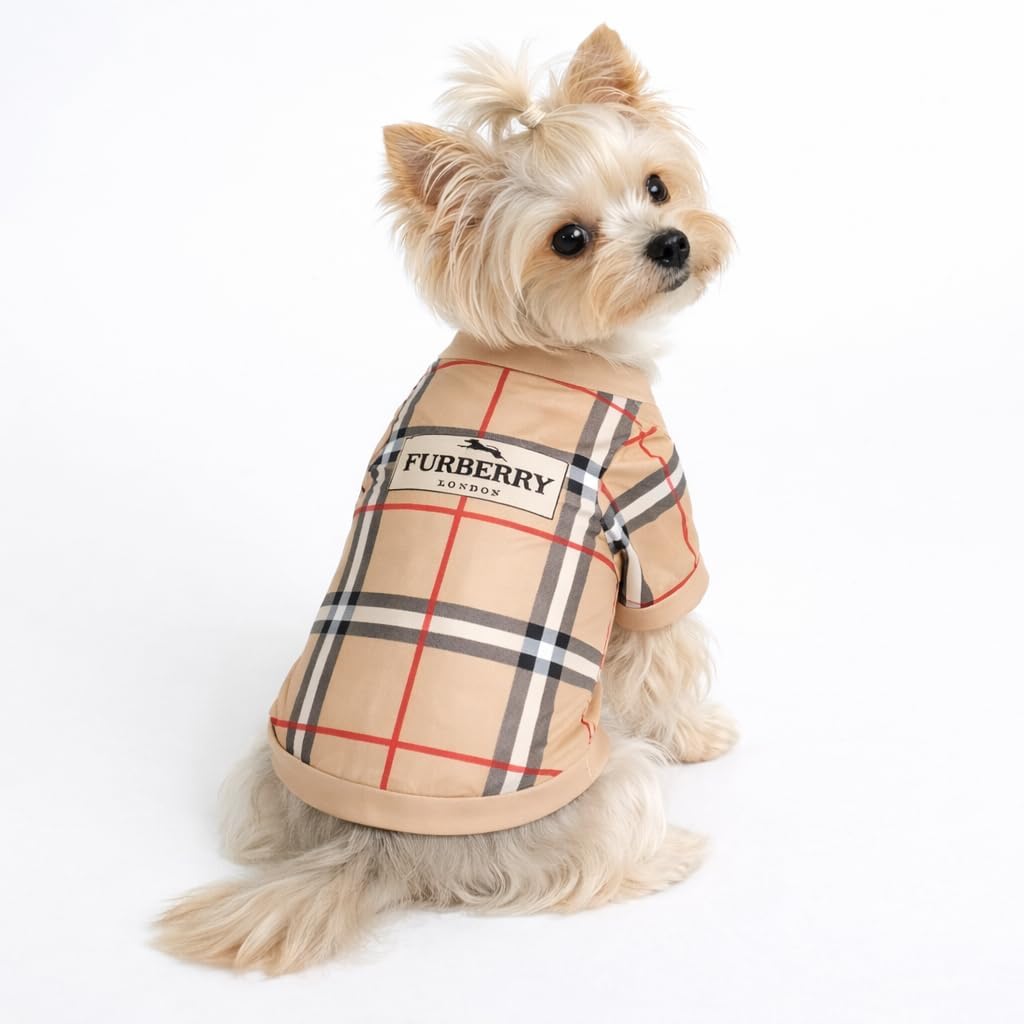 Luxury Designer Dog T Shirt – Trendy Puppy Clothes for Small Dogs