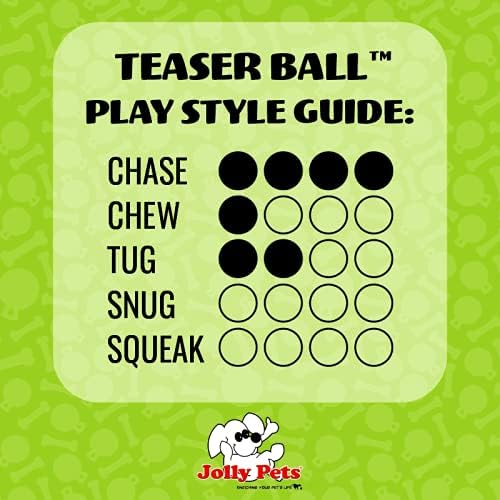 Jolly Pets Teaser Ball Interactive Dog Toy, 8 in Large