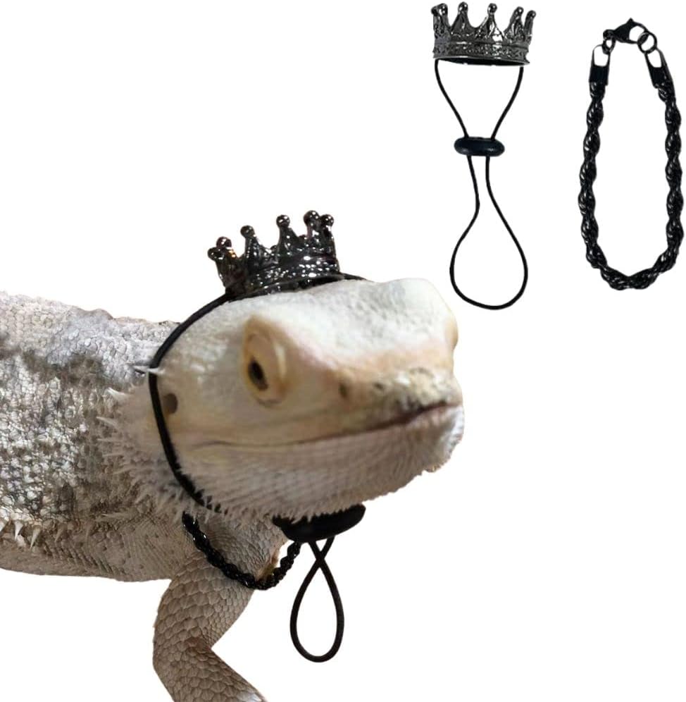 2Pcs Lizard Crown Necklace Set Metal Lizard Outfit Reptile Clothes