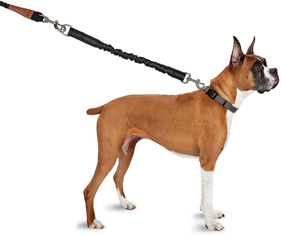 BTINESFUL Bungee Dog Leash Extension Attachment 18” Shock Absorber