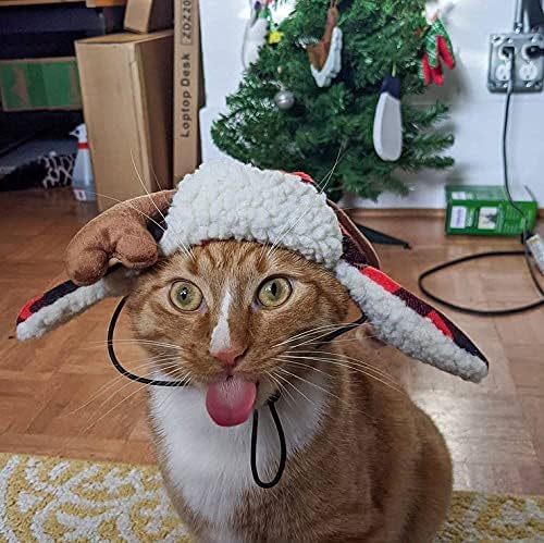 Huxley & Kent Pet Hat | Antler Buffalo Check