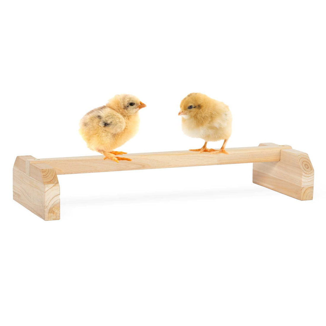 PETSFIT Chick Roosting Bar Prevent Rotation Design