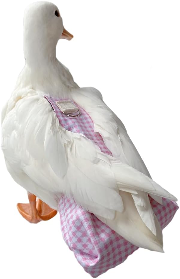 Duck Diapers, Chicken Diapers, Special Diapers for Poultry, Chicken