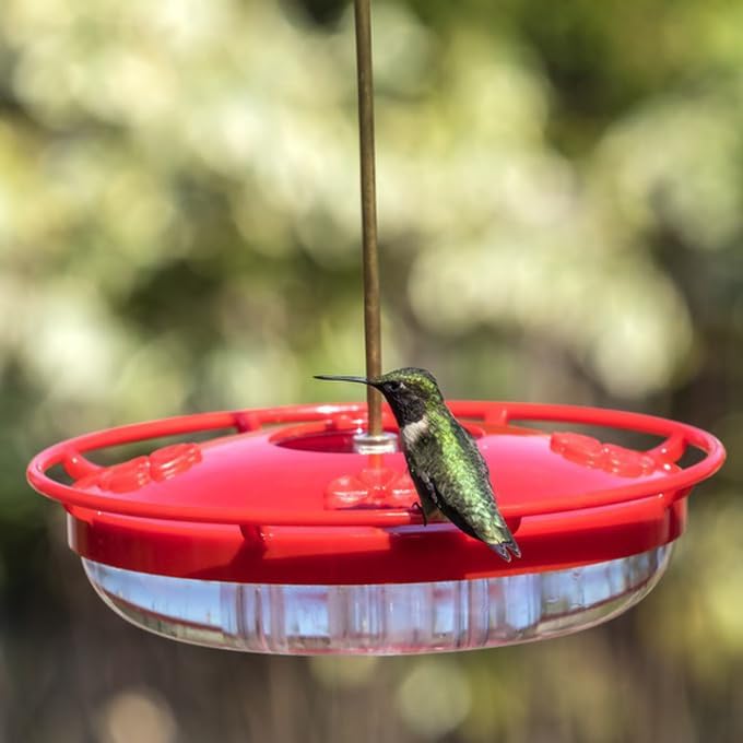 2 Pack Hummingbird Feeders for Outdoors, 5 Feeder Ports with Brush