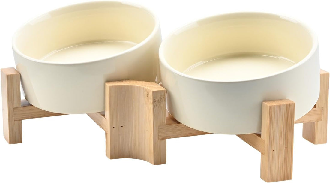 SPUNKYJUNKY 15° Slanted Ceramic Dog and Cat Bowl with Wooden Stand