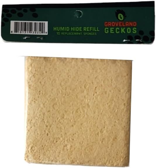 Medium Humid Hide for Bearded Dragon, Corn Snake, Ball Python