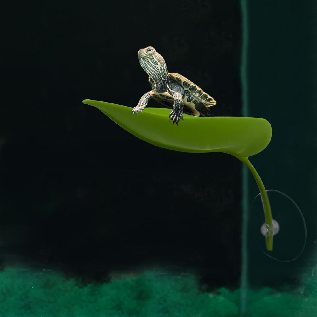KVZVK 2Pcs Tree Frog Tank Leaf Decorations,Leaf Shape Basking