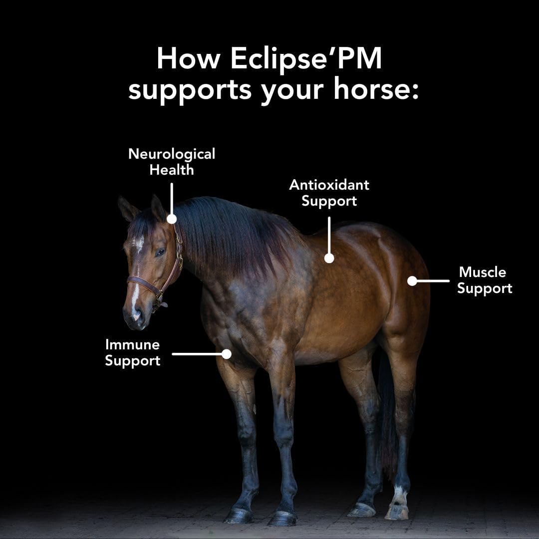 E-Clipse PM (6 lb) Neurologic Health/Immune Support for Horses