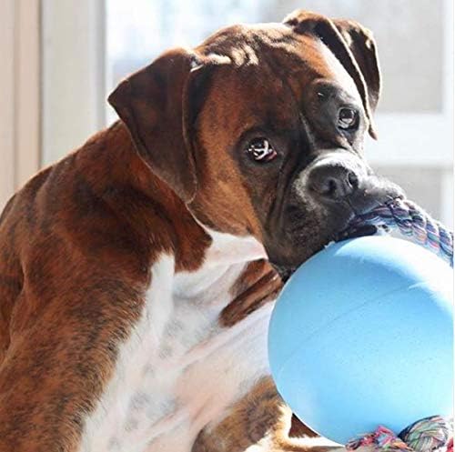 Jolly Pets Romp-N-Roll Rope & Ball Dog Toy, 8 in Large