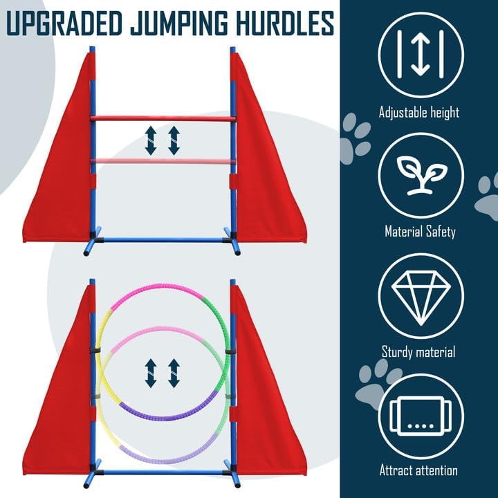Dog Agility Training Equipment