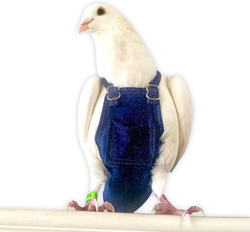 Bev's Bird Boutique Regular Flyper Adjustable Bird Diaper | Reusable