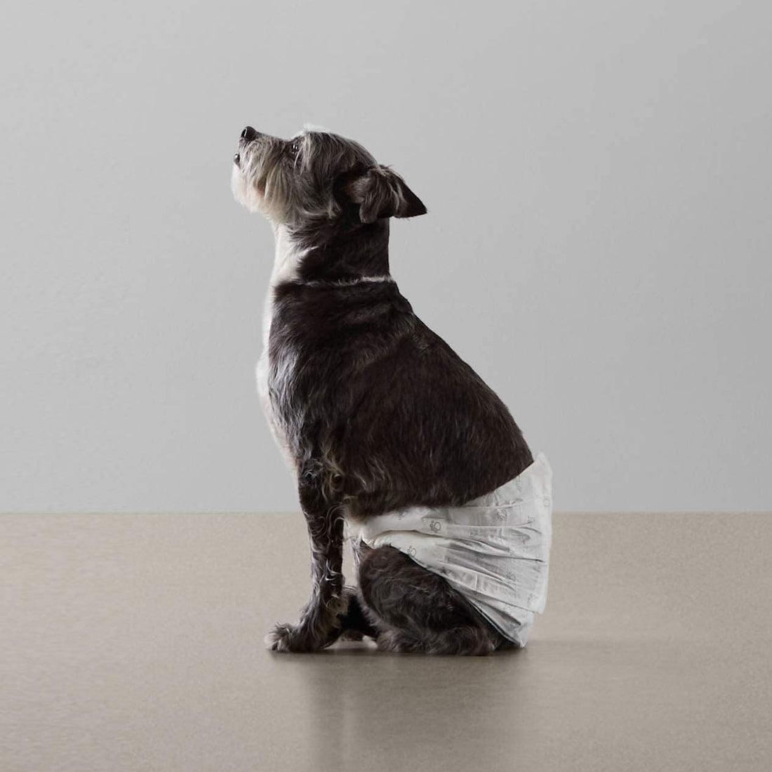Absorbent, Leakproof Male Dog Wrap Disposable Diapers with Wetness