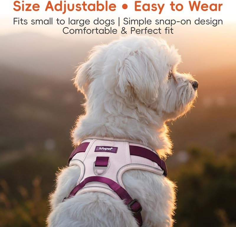 Dog Harness and Leash Set with Collar