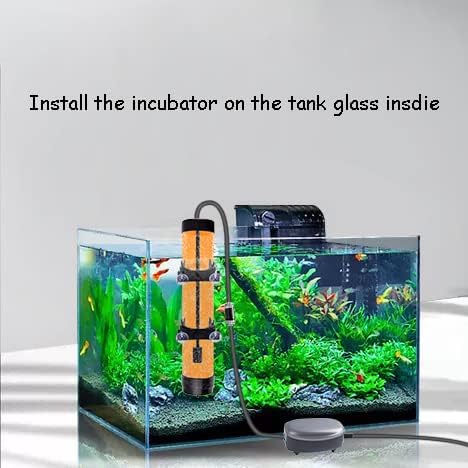 Brine Shrimp Eggs Incubator Artemia Hatchery with Silver Air Pump
