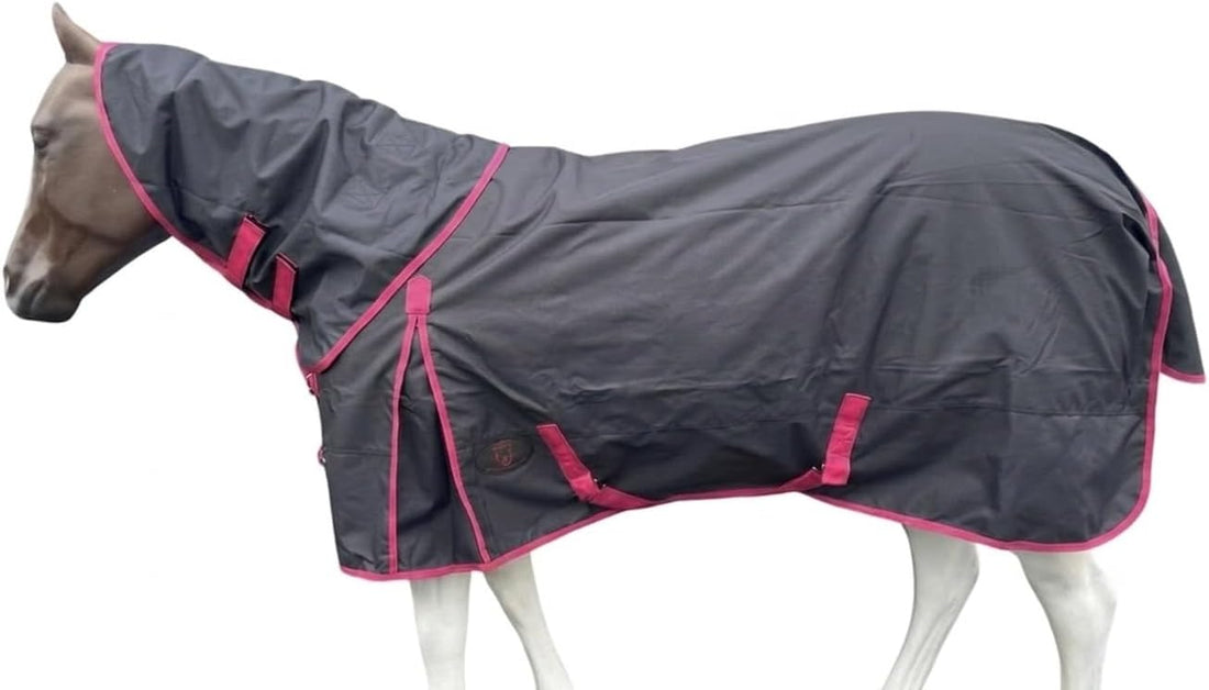 Horse RAIN Sheet with Neck Cover