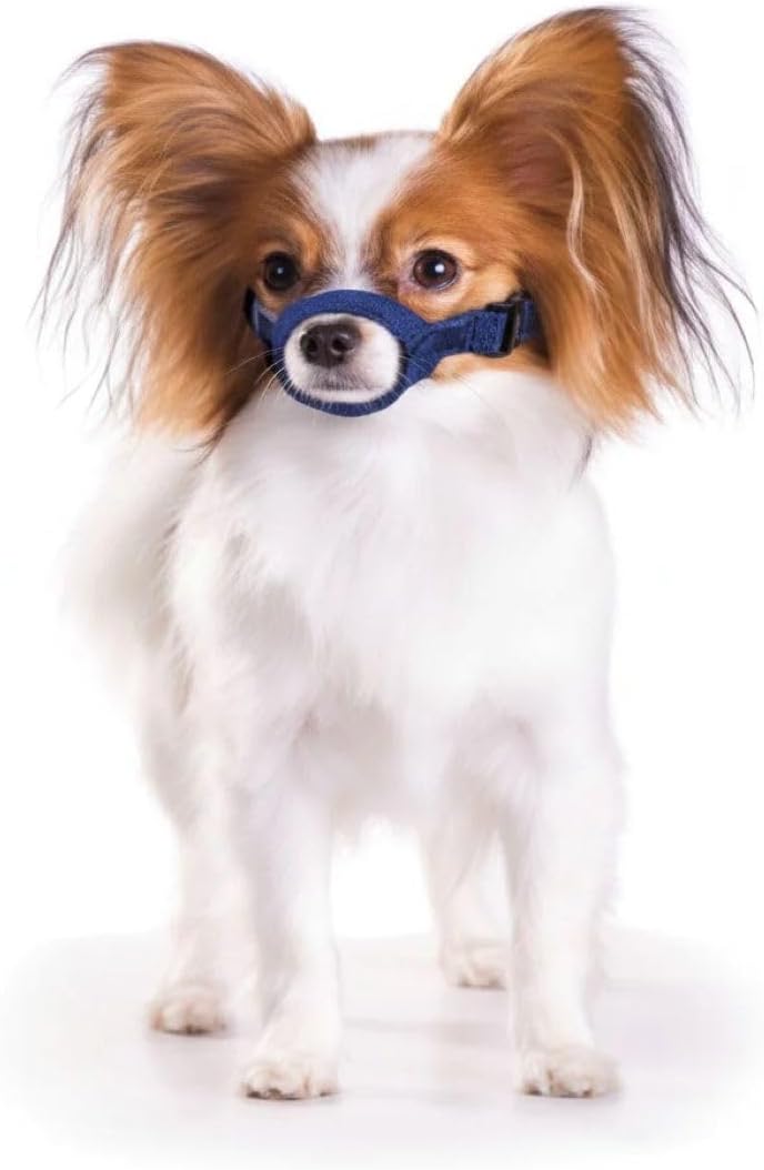 Four Flags Quick Muzzle