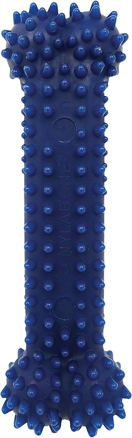 Nylabone Textured Dental Bone Flexi Chew Toy for Dogs