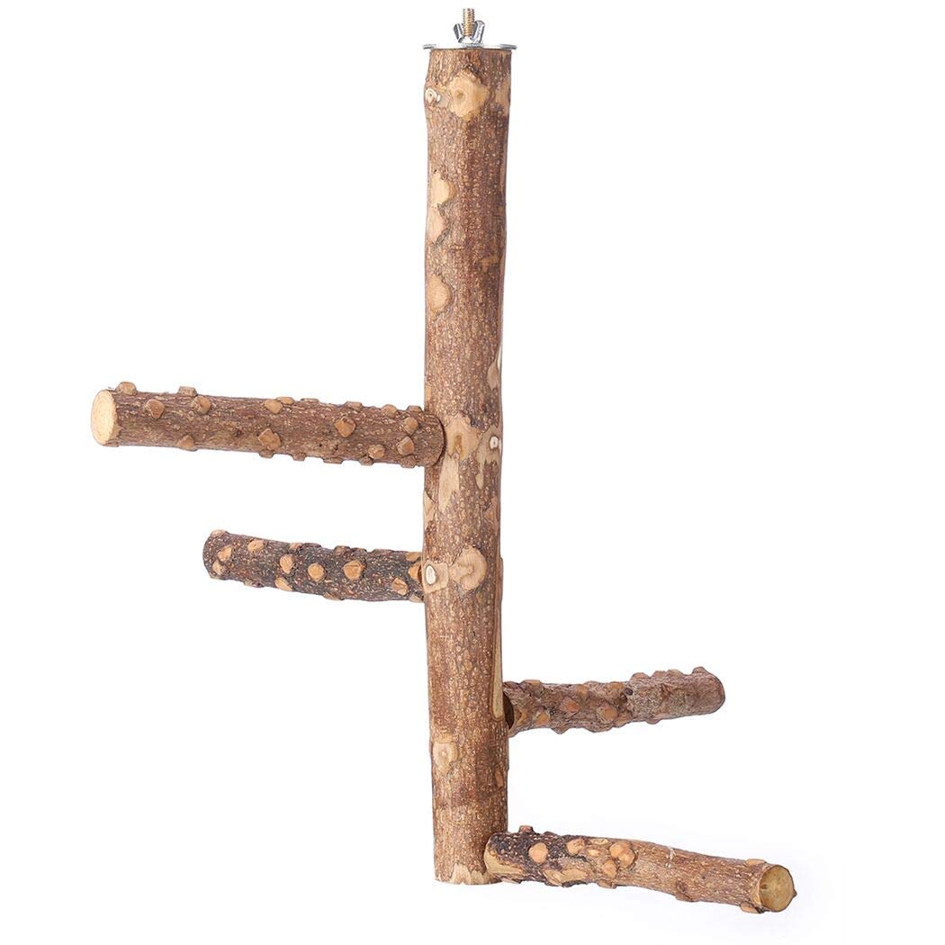 Bird Perch Nature Wood Stand for 3-4pcs Small Medium Parrots (M)