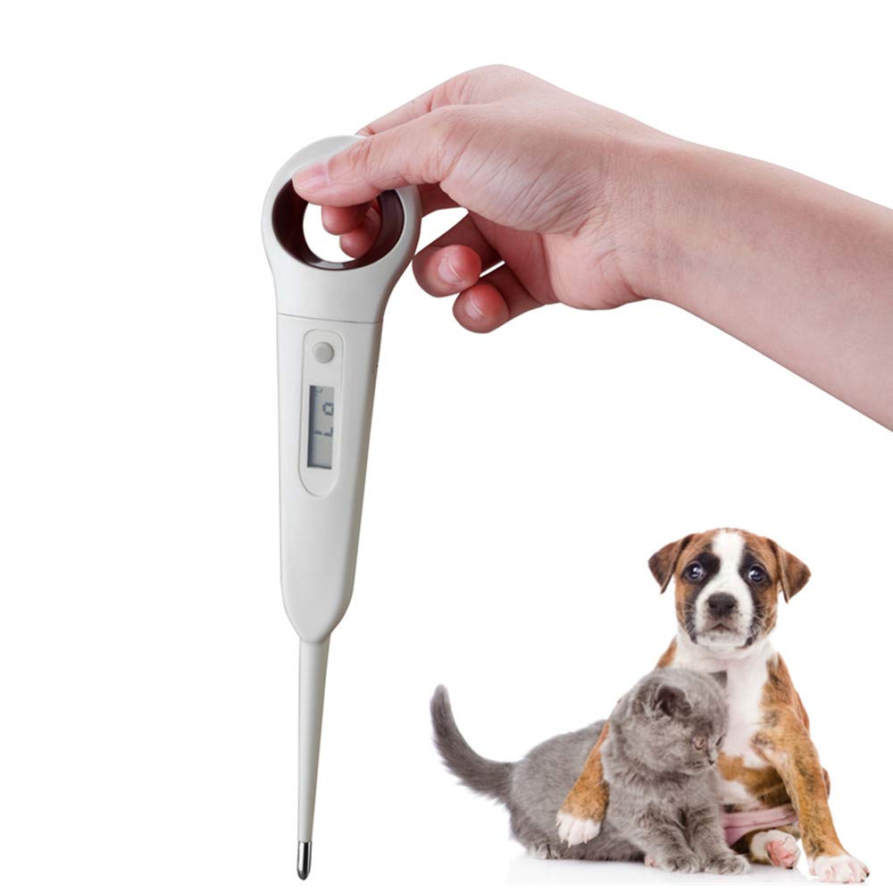 Aurrynns Pet Digital Anus Thermometer for Dogs, Cats, Pigs, Sheep ()