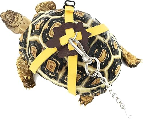 Adjustable Harness & Leash Set Strap for Turtles Small Pet Leash