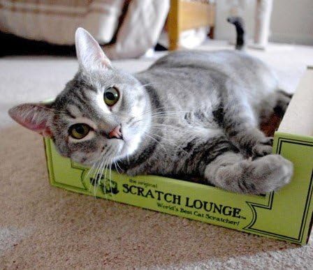 The Original Scratch Lounge XL - Worlds Best Cat Scratcher