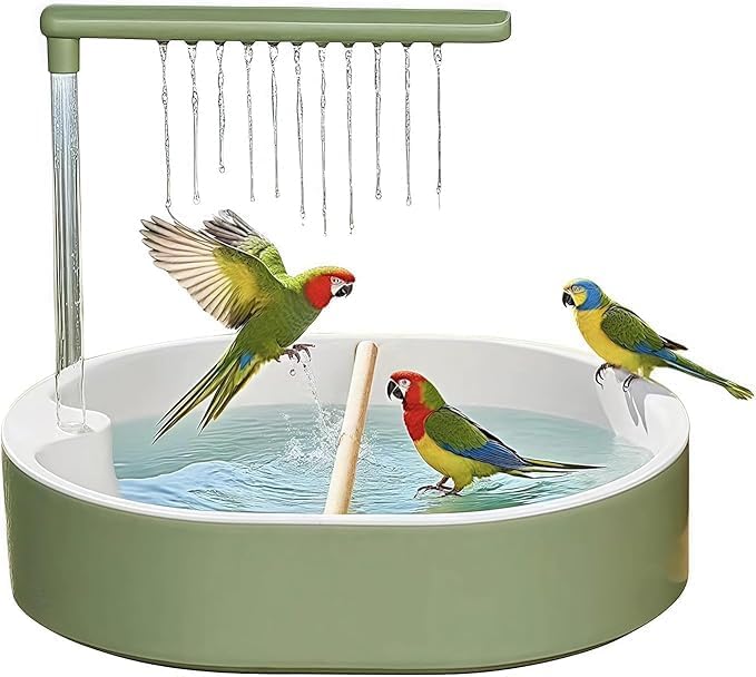 Automatic Bird Bath with Pump