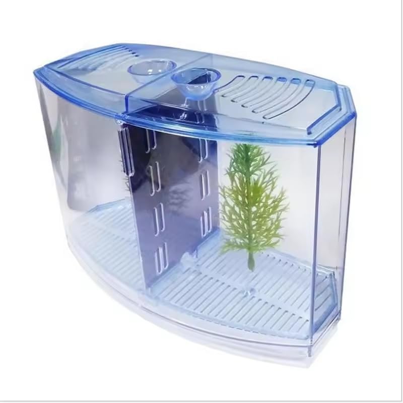 EatingBiting Large Double Compartment Fighting Fish Box Eco Rumble