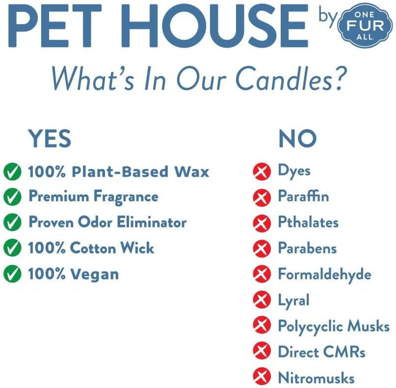 Hollyberry Mini Candles Plant-Based Wax, 3 Pack Pet House