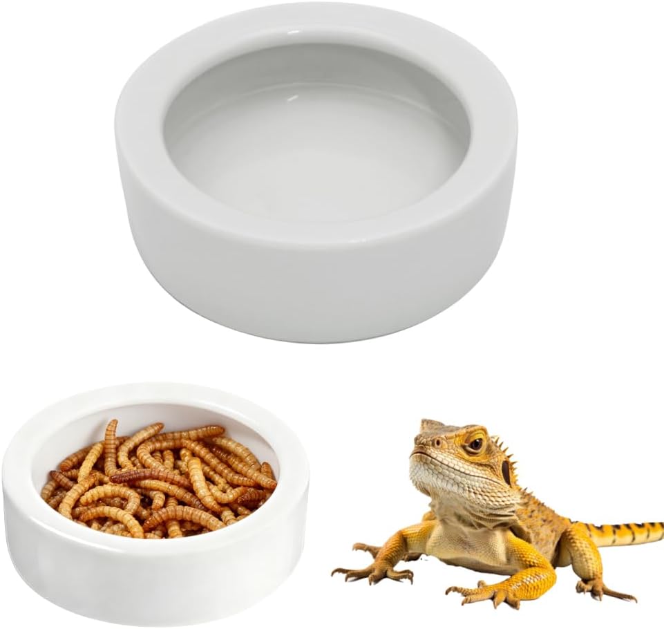 Escape-Proof Reptile Food Dish Bowl