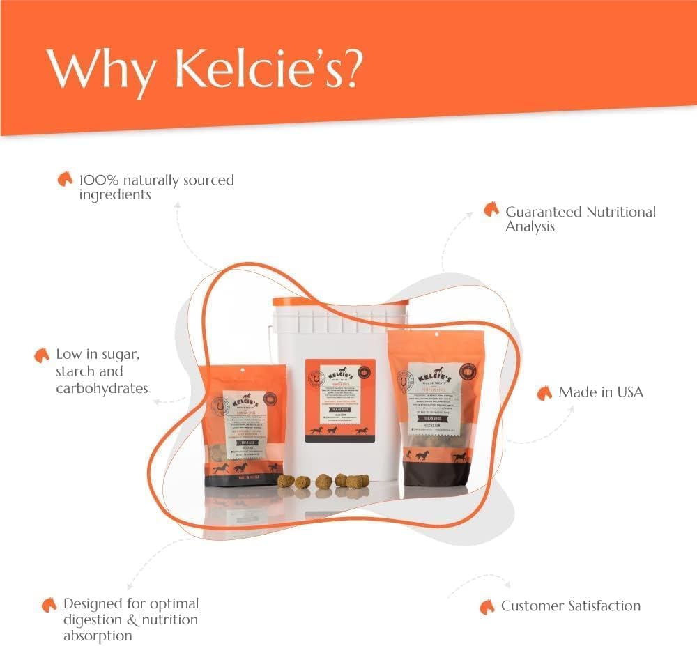Kelcies Pumpkin Spice Horses Treats - Low Sugar, Starch