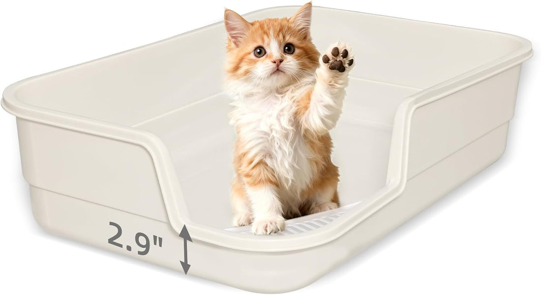 Extra Large Litter Box with Low Entry,Jumbo Cat Litter Box for Kitty