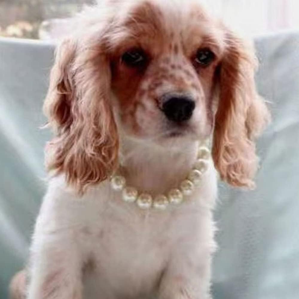 Adorable Pet Pearl Collar Adjustable Cat Dog Pet Necklace Jewelry