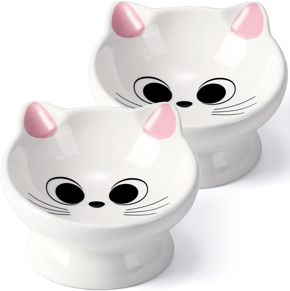 Raised Ceramic Cat Food Bowl, Tilted for Neck Comfort