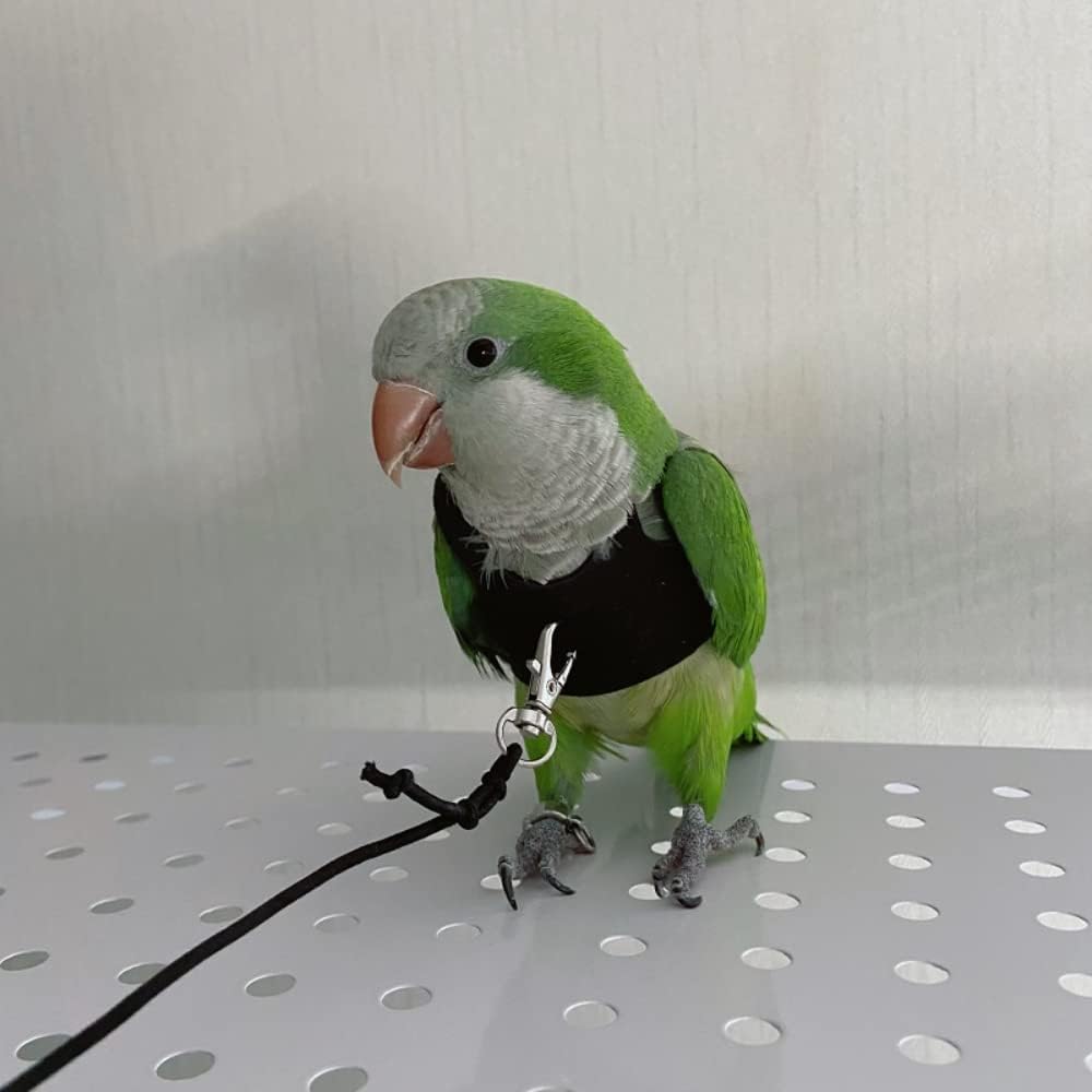 Bird Flight Harness Vest, Parrot Flight Suit with Leash for Parakeets